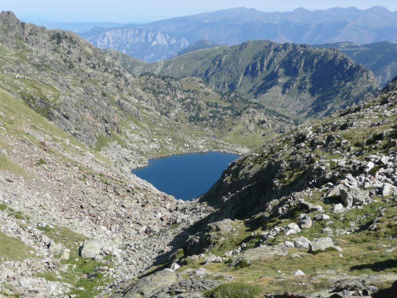 p1020235.jpg