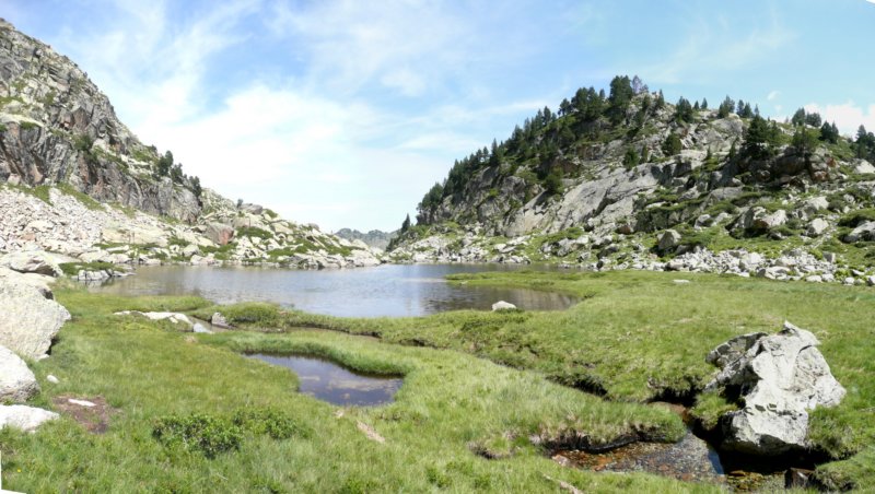 stitched_004.jpg