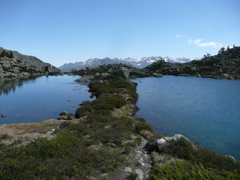 p1050039.jpg
