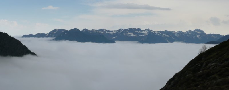 stitched_007.jpg